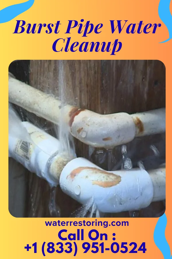 Burst Pipe Water Cleanup in Albert, KS