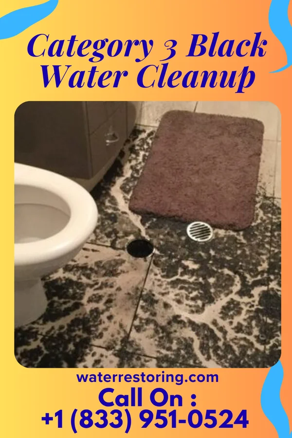 Category 3 Black Water Cleanup in Albert, KS