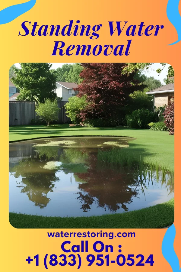 Standing Water Removal in Albert, KS
